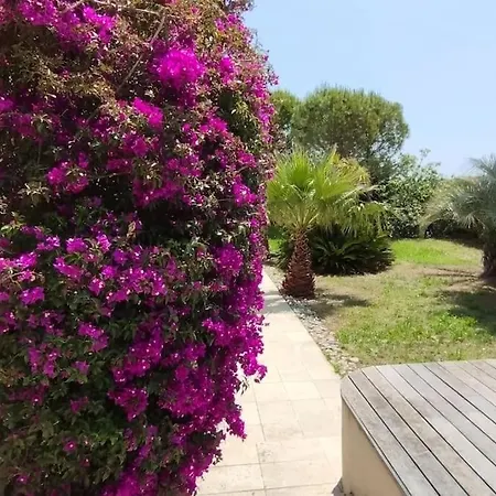 Confortable En Bord De Avec Piscine 邦多勒